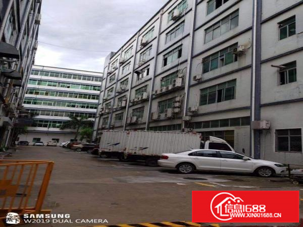 出租坂田布龙路格泰隆工业区B栋5楼2300平方，可分租