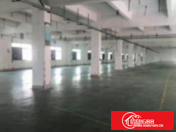 高埗现成注塑环评标准厂房一楼出租1000平方