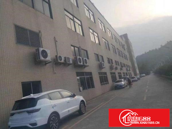 大岭山园区分租一二楼5000平可分租