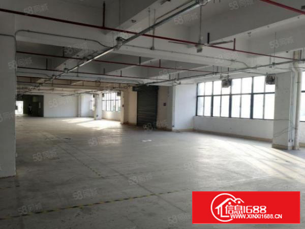 (实际面积)沙井新桥107边独院3300平方装修厂房出租