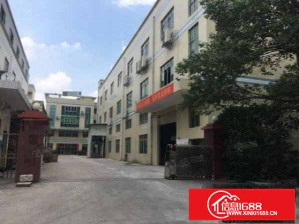 横枥山厦原房东独院厂房4650平招租精装办公室水电齐全