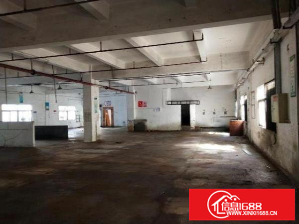 大岭山月山村工业园带装修厂房700平方