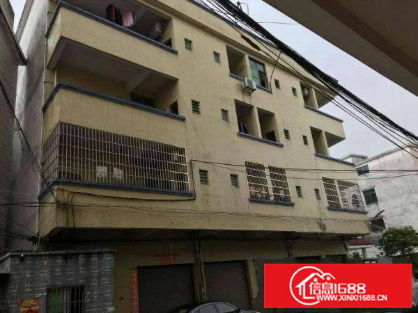 惠阳镇隆独门独院标准厂房三层