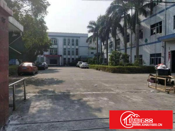 龙岗爱联中心城工业园6000平方独院厂房出租可分租