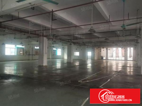 茶山新出独门独院厂房9300平可分租厂房办公楼宿舍各一栋