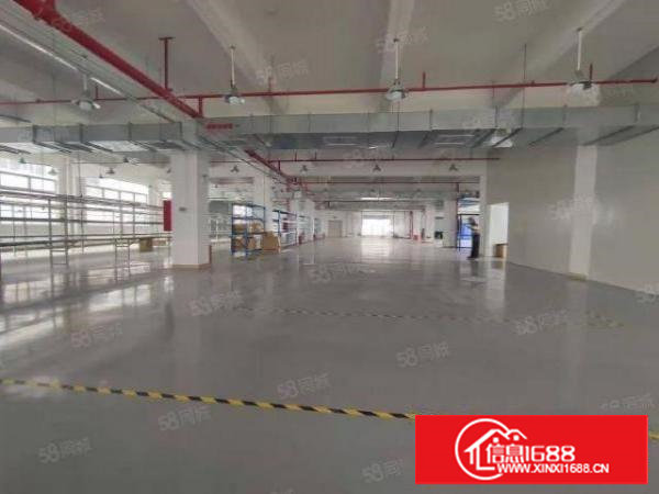 塘厦超靓楼上厂房2200平，采光通透消防喷淋全原房东出租