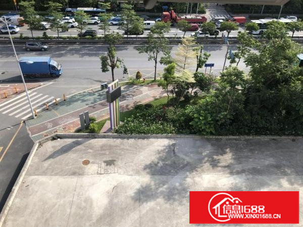 布龙路主道旁一楼商铺1800平，4S店名车广场汽车维修等