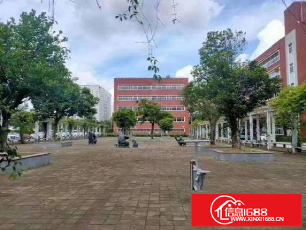 龙华大浪商业中心区花园式高新园区