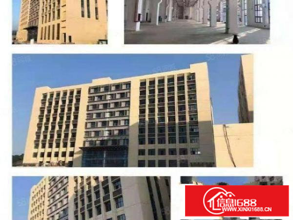 大朗新马连全新6万平方厂房出租大小分租价格好谈能办环评