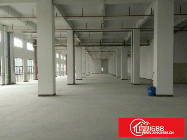 平湖新木村委一楼1000平方米标准厂房原房东急租