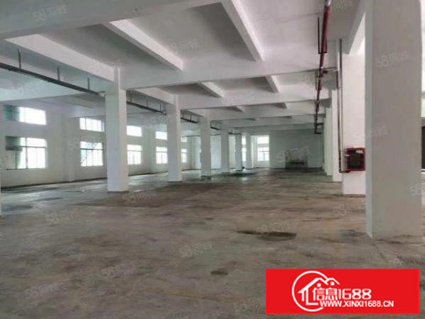 大浪一楼2050平方厂房出租可分租租金31元行业不限