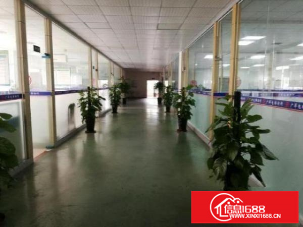 狮山标准1-4层独院厂房出租