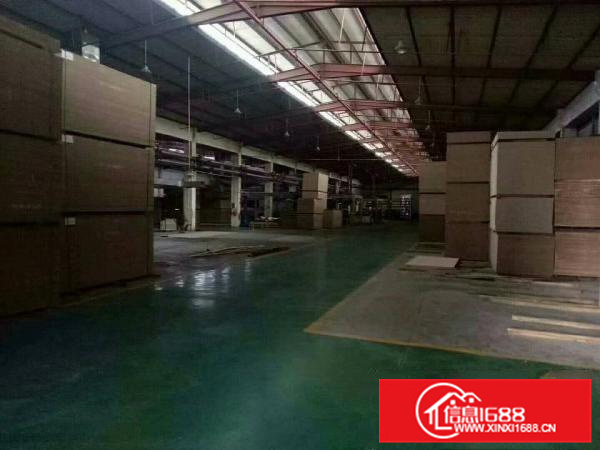 惠阳新圩4500平独栋钢构高8米空地超大可分租