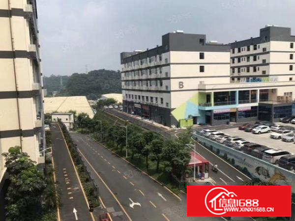 坂田厂房出租一楼100平200平，适合物流仓库呢等