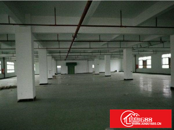 出租博罗柏塘独院厂房3000平米大小可分租