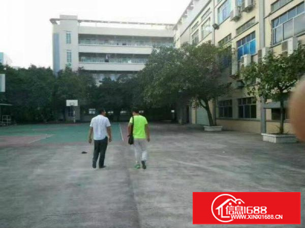 镇隆镇高田村一楼层高均为6.5米带牛角，高速入口