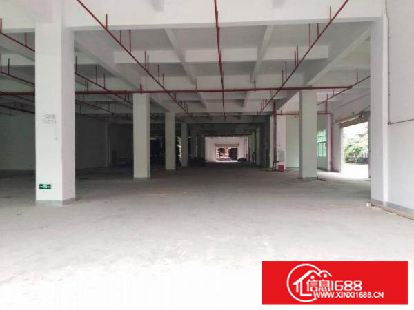 全新厂房单层8500平4部3吨货梯三证齐全三和经济开发区