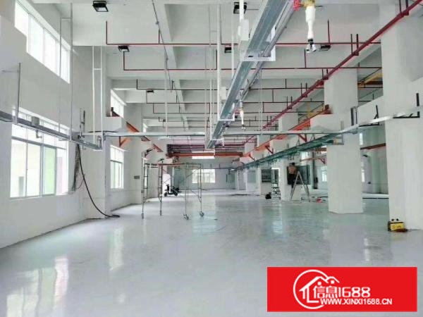 一楼厂房出租2100平米,高7米凤岗竹尾田麻埔坳工业区