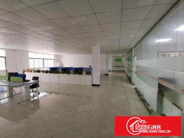 松岗红星新出2楼厂房500平，实际面积出租，无转让费