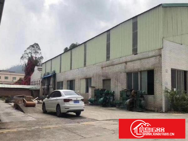 出租大朗镇犀牛陂新出单一层3200平，高度9米可分租