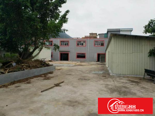 横沥六甲工业园原房东标准独院厂房4382平招租（可分租）