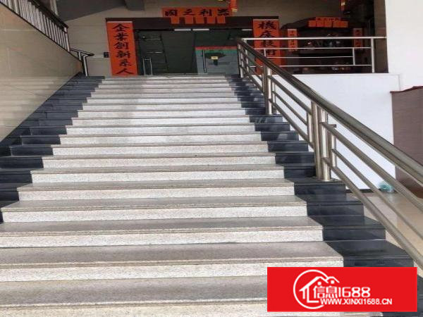 独院钢构单一层带豪华独立办公楼