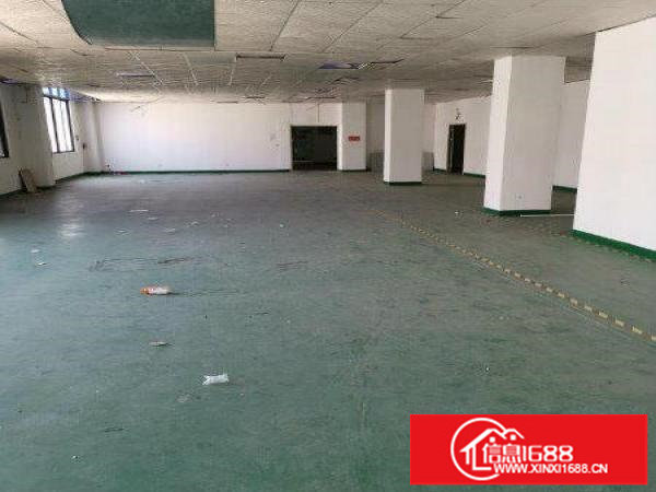 观澜天虹附近大型工业园精装厂房可进大车交通方便可分租