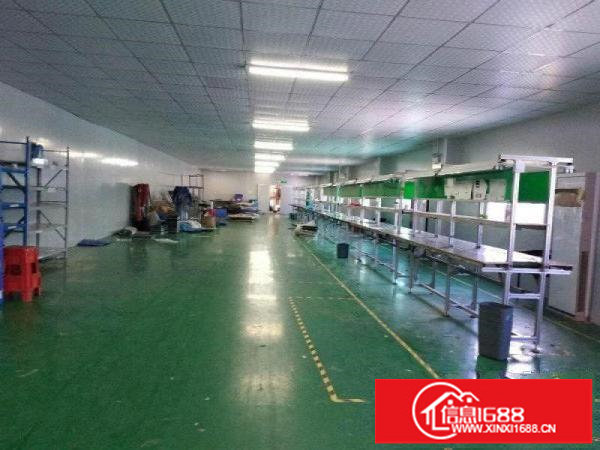 横岗大康横坪公路大型工业区楼上精装1250平