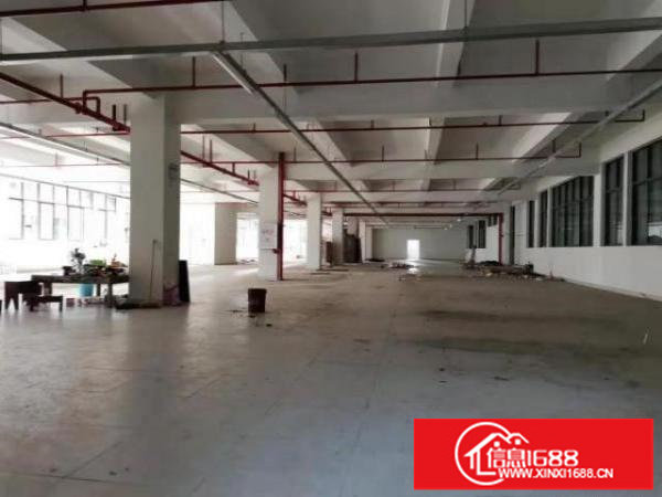 东莞凤岗近深圳高新独门独院厂房出租2万平可办环评