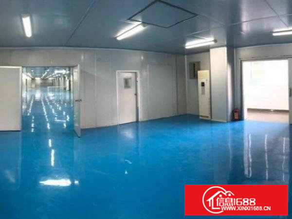 精装修十万级无尘车间，1600㎡。
