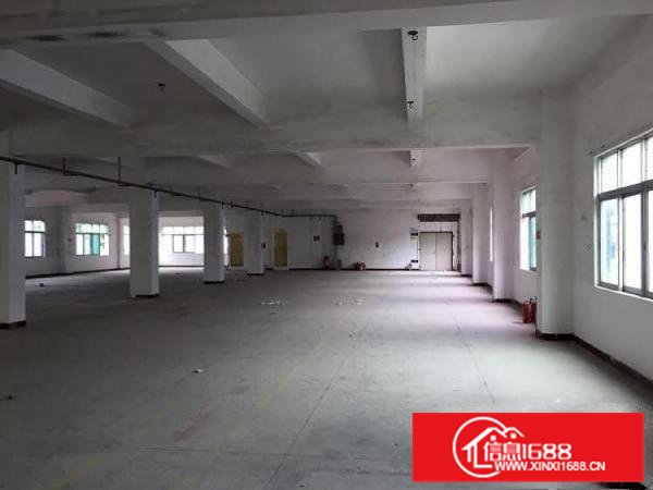 东莞东坑独院原房东标准厂房3750平方出租