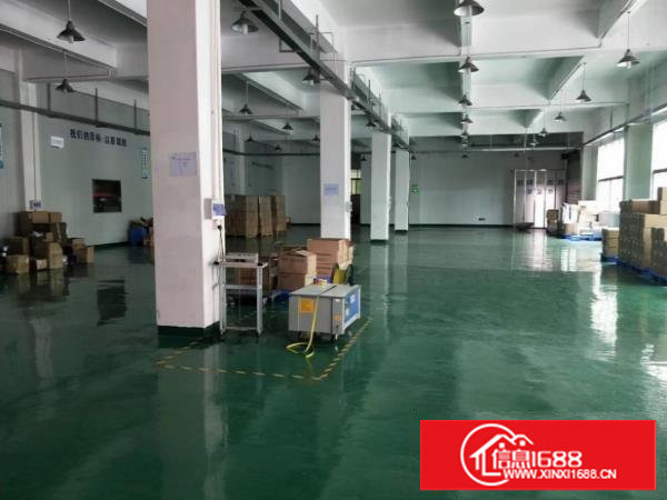 塘厦新出笋盘！园区内一楼768平，现成装修主线，拎包入驻！