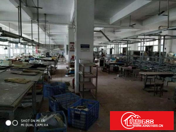 现房！坪地六联新出工业园独栋标准厂房6100平招租（可分租）