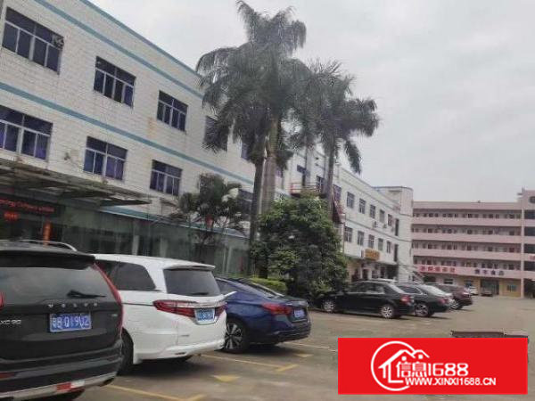 出租清溪镇清溪三中大面积钢构厂房租价低直8元每平