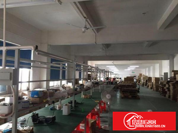 龙岗五联新出独院3层4000平米厂房出租可分租