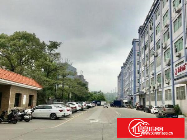 开发商一手直租，招商面积400-1350平不等。