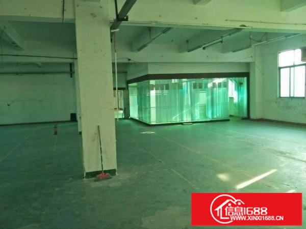 平湖新木村楼上厂房950平方米出租