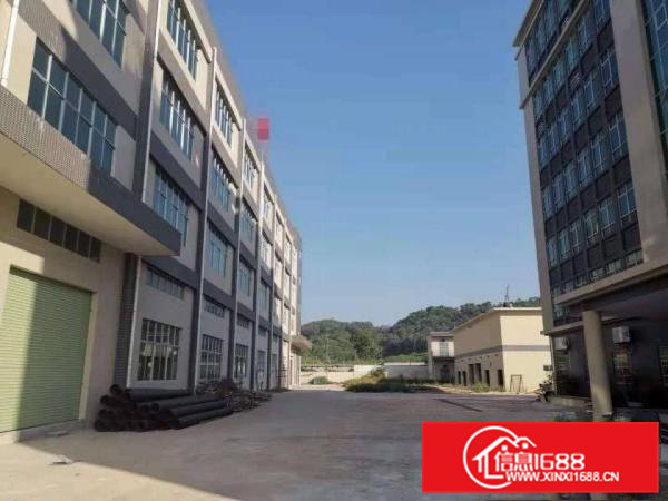 （原房东直租）清溪全新独院厂房28000平带喷淋牛角大小可分