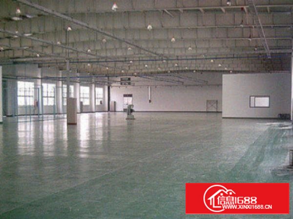 高埗带现成装修标准一楼800或1800平方招租现成水电，宿舍