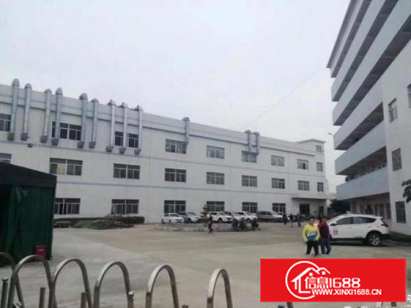 龙岗坪地新出5600平独院标准厂房出租