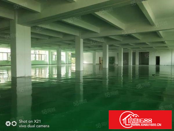 平湖独院厂房出租14200平米，可分租1500平，800平等