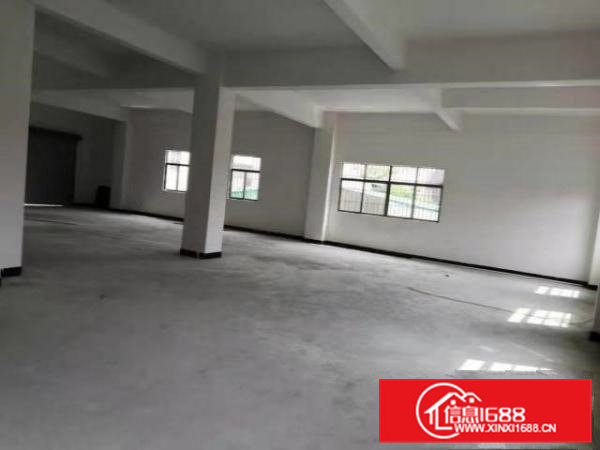 8元厂房大朗犀牛坡两层1000平方厂房原房东无公摊