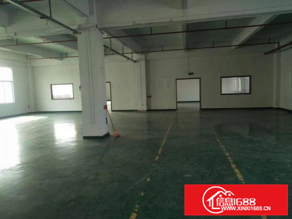 金凤凰新出楼上一整层厂房1600平方水电齐全，豪华装修办公室