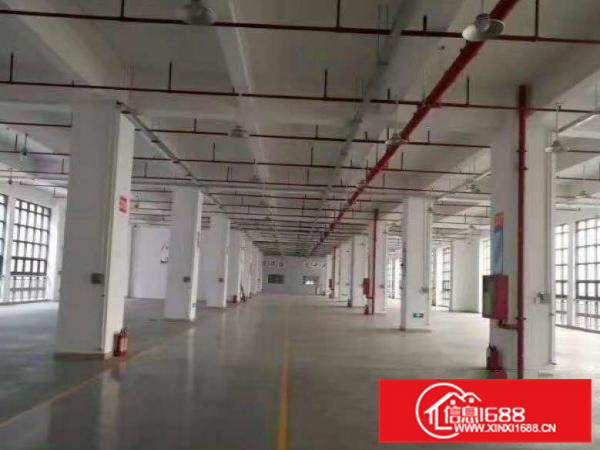 出租仲恺潼湖新出830平原房东标准独院厂房，火爆招租！