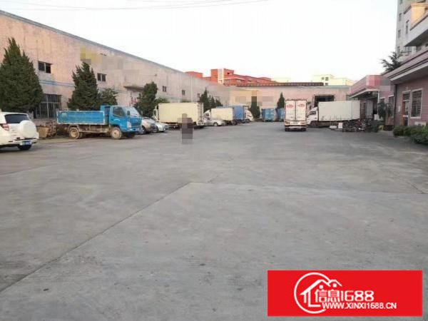 龙岗原房东一楼3300平招租