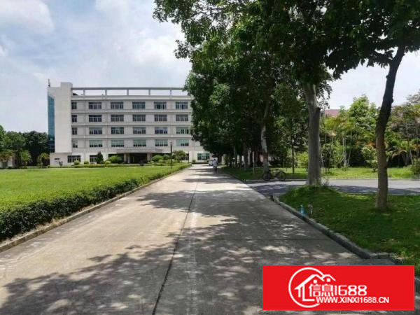 出租龙岗区坪地1500平方红本带装修厂房