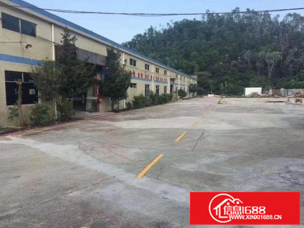 龙岗区宝龙工业区独院钢构厂房仓库9000平方可分租