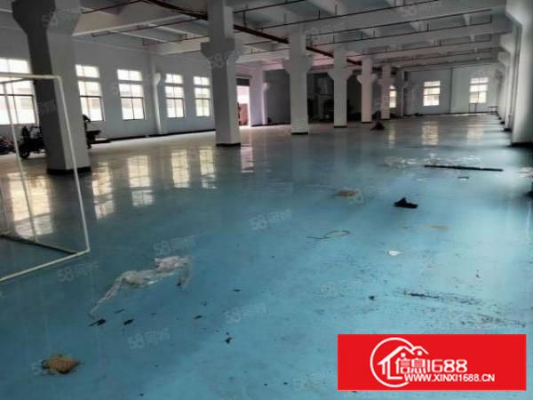 茶山镇工业园标准厂房一楼2600平方招租饭堂宿舍配套使用