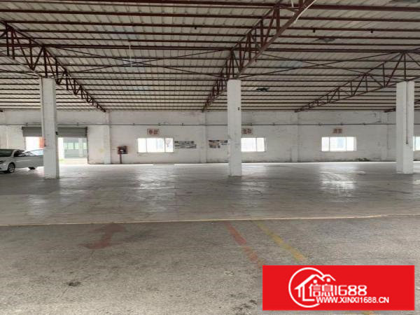 坪山大道边沙湖钢构厂房出租1400平大小分租空地大交通便利