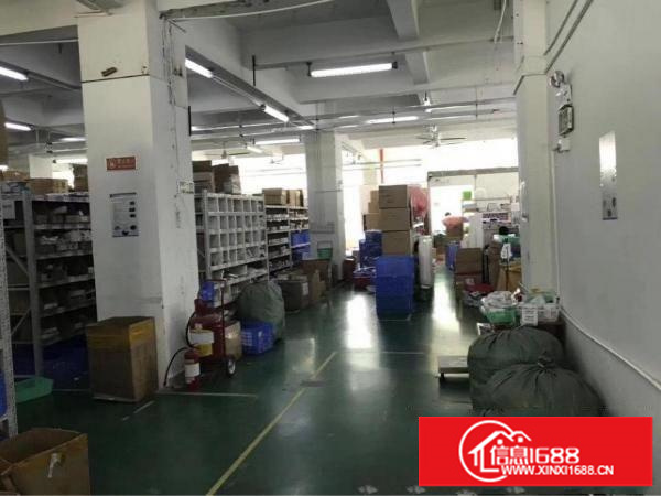 五和大道精装修1200平方出租，村委厂房实用率高！